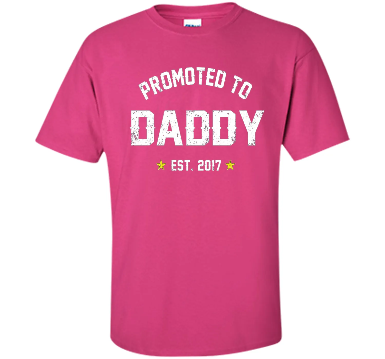 Men's Promoted To Daddy Shirt: Gift For New Dad Est. 2017 T-Shirt