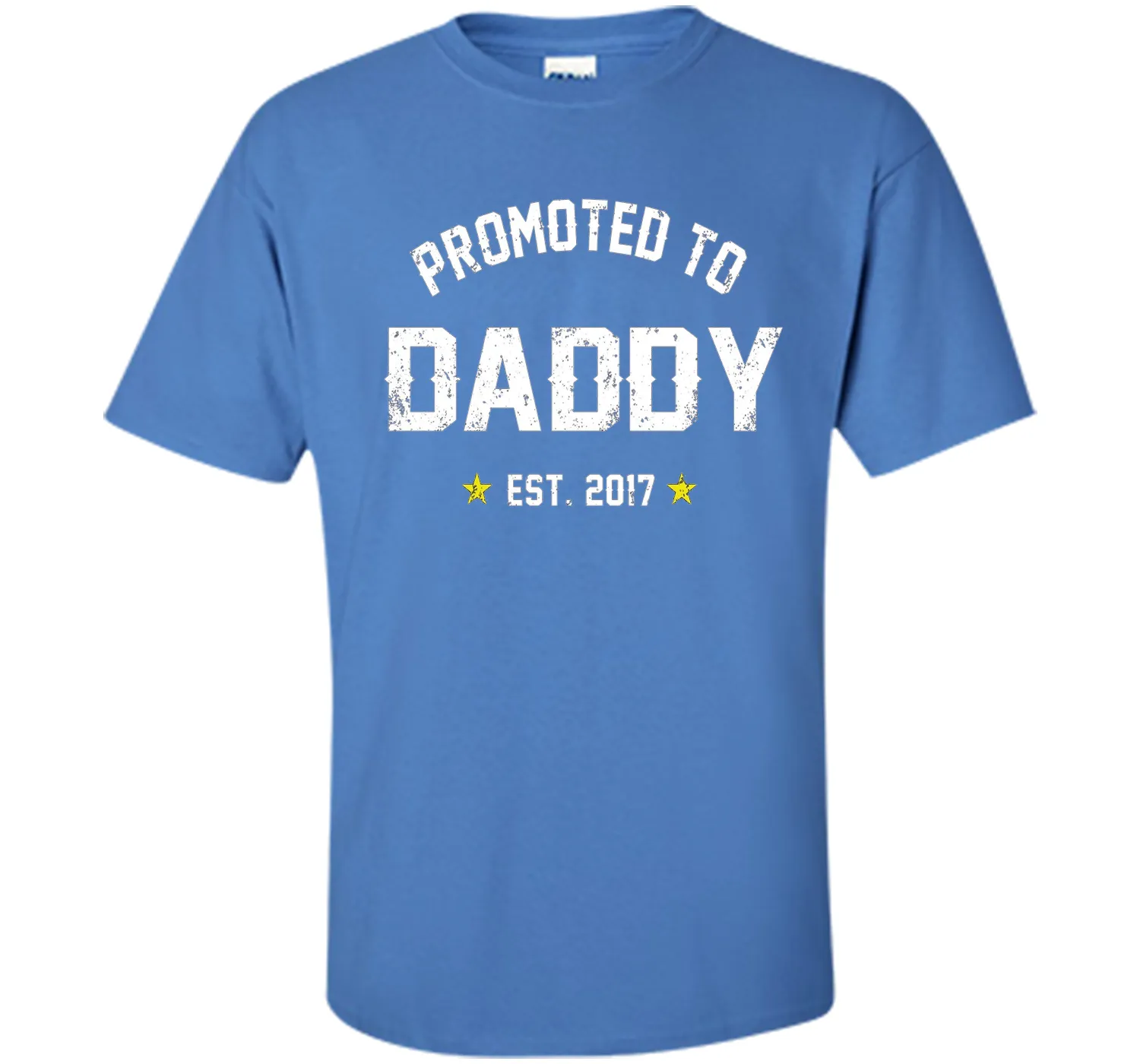 Men's Promoted To Daddy Shirt: Gift For New Dad Est. 2017 T-Shirt