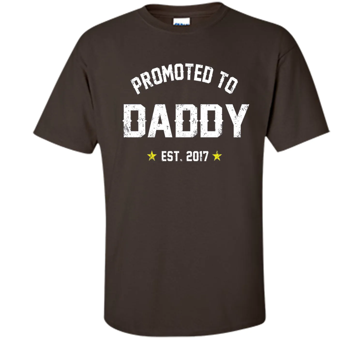 Men's Promoted To Daddy Shirt: Gift For New Dad Est. 2017 T-Shirt