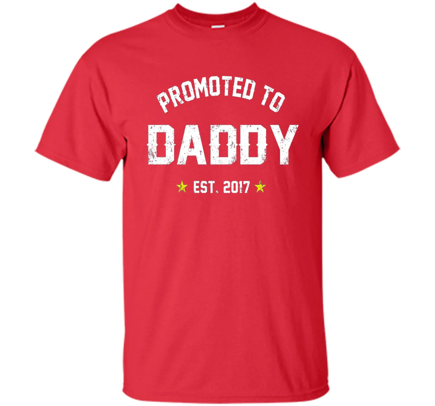 Men's Promoted To Daddy Shirt: Gift For New Dad Est. 2017 T-Shirt