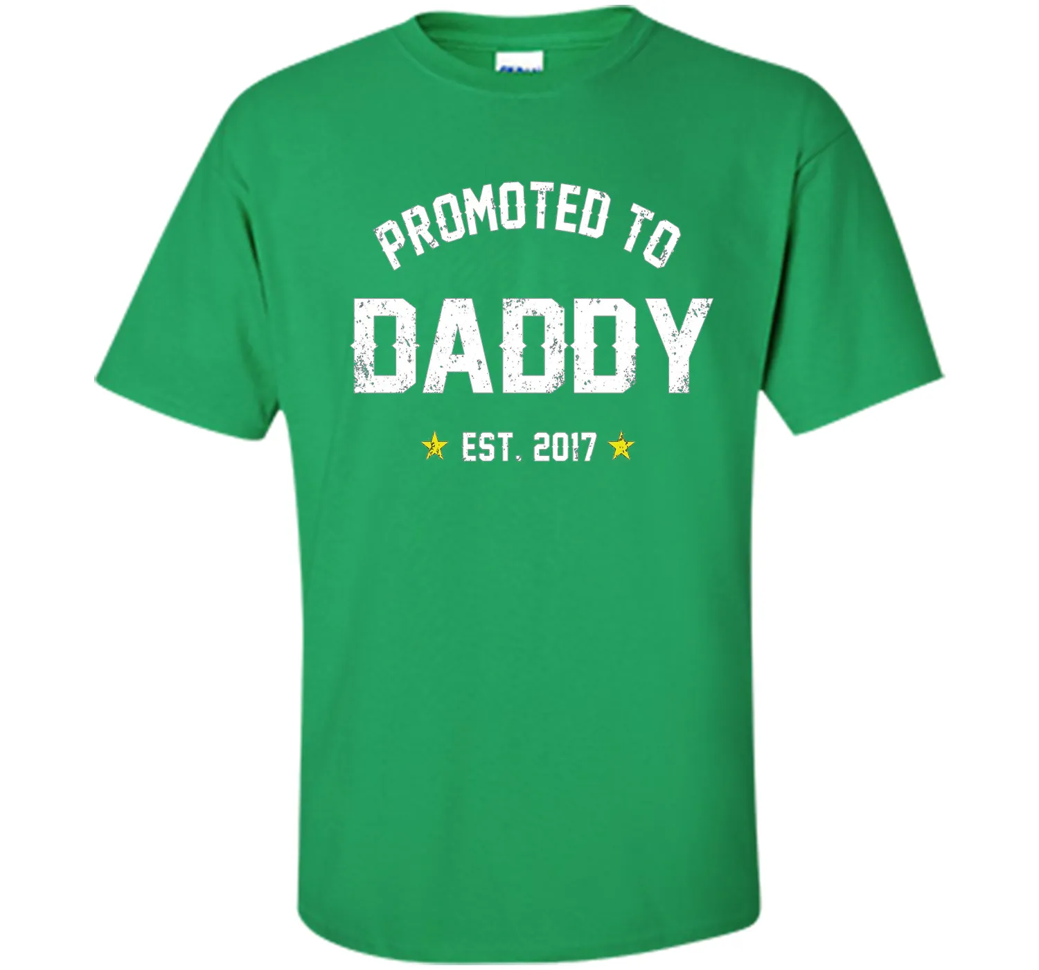 Men's Promoted To Daddy Shirt: Gift For New Dad Est. 2017 T-Shirt
