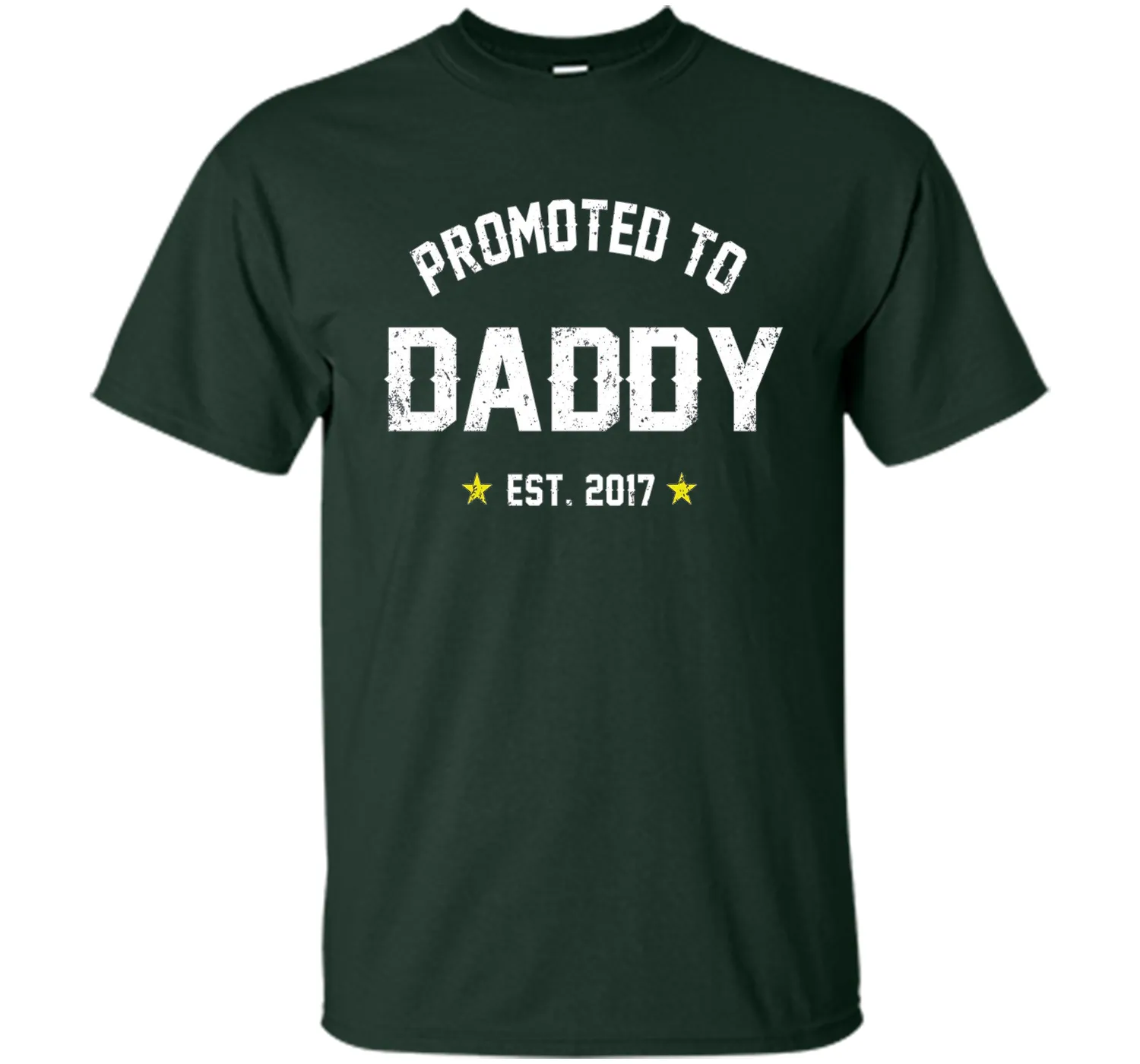 Men's Promoted To Daddy Shirt: Gift For New Dad Est. 2017 T-Shirt