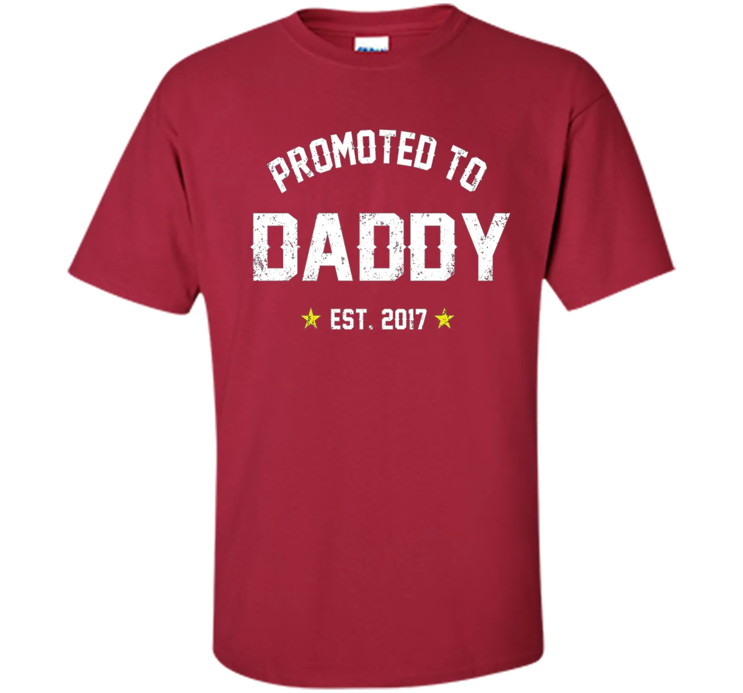 Men's Promoted To Daddy Shirt: Gift For New Dad Est. 2017 T-Shirt