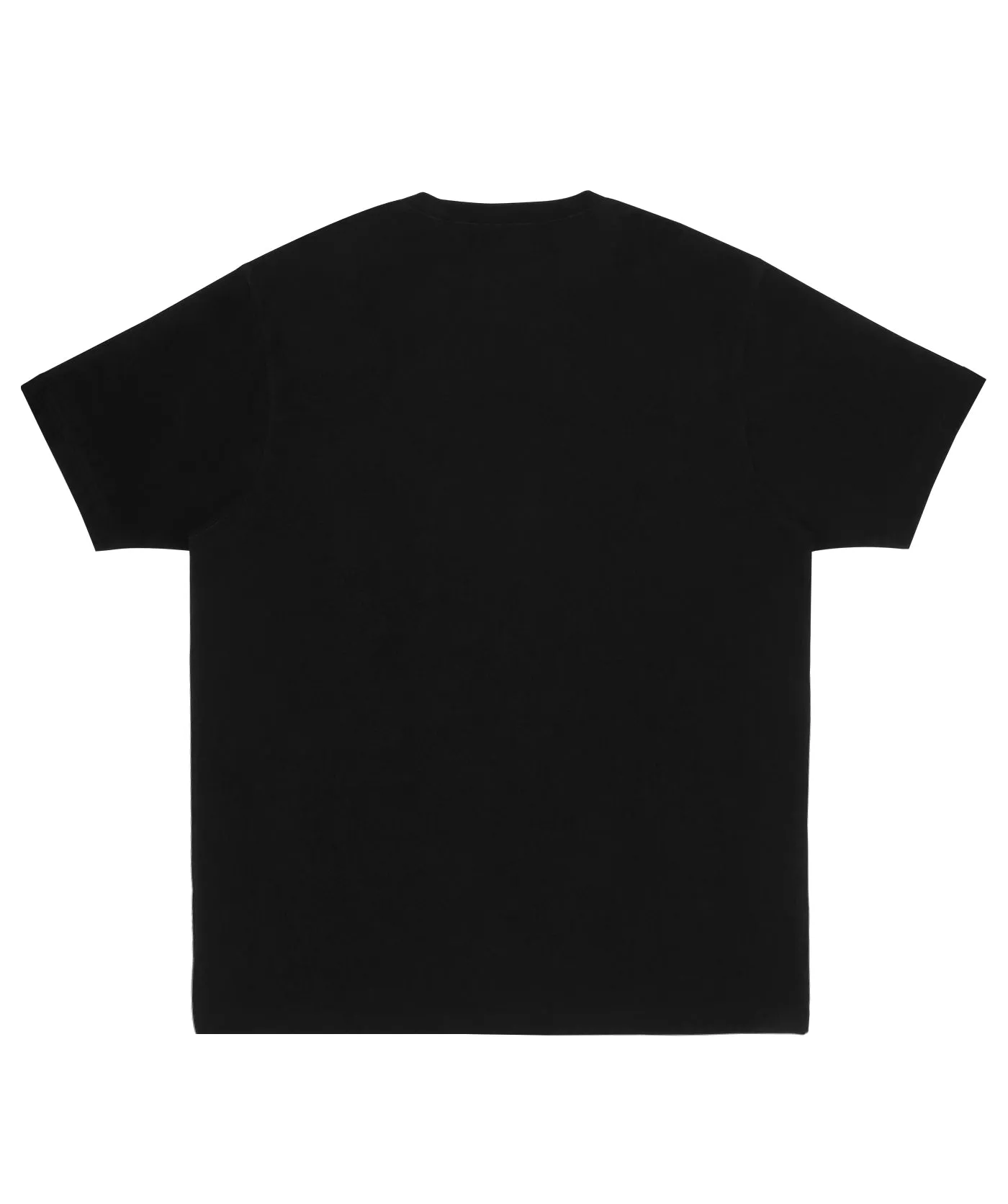 Tibetan Dragon T-Shirt